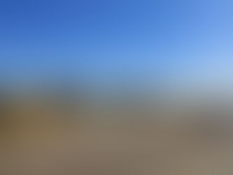 Where have all the people gone?