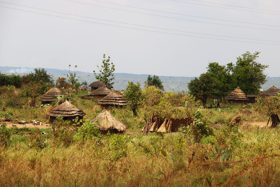 Typical village of Northwestern Uganda