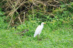 Galapagos National Park