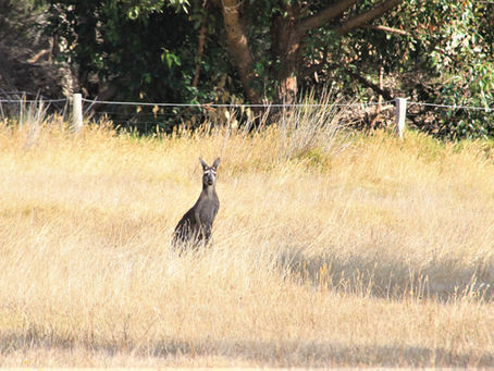 In Fremantle State Prison
