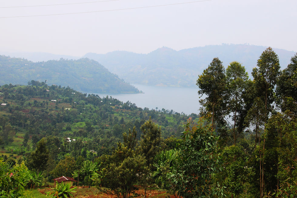 Kivu Lake cove