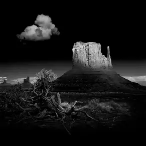 Monochrome Wüstenlandschaft mit Felsen und knorrigem Baum.