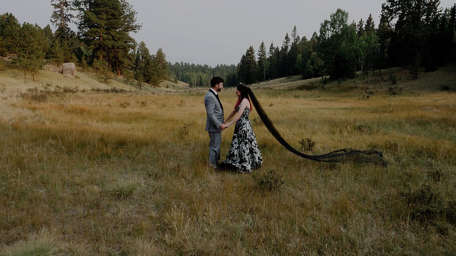 Bride nad groom in forest clearing