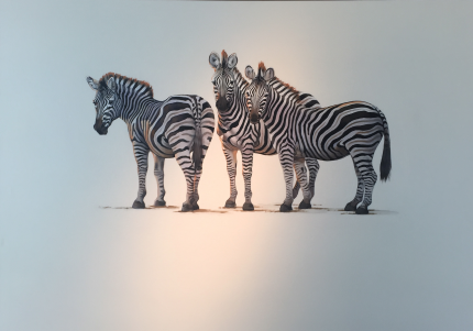 Three Zebra, 36"x48" $6,800