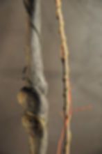 Whose Woods These Are