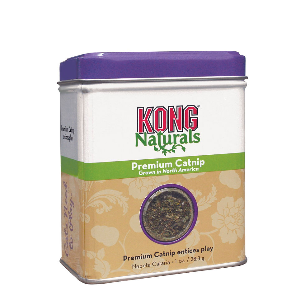 Boîte Kong d'herbe à chats naturals 28.3gr