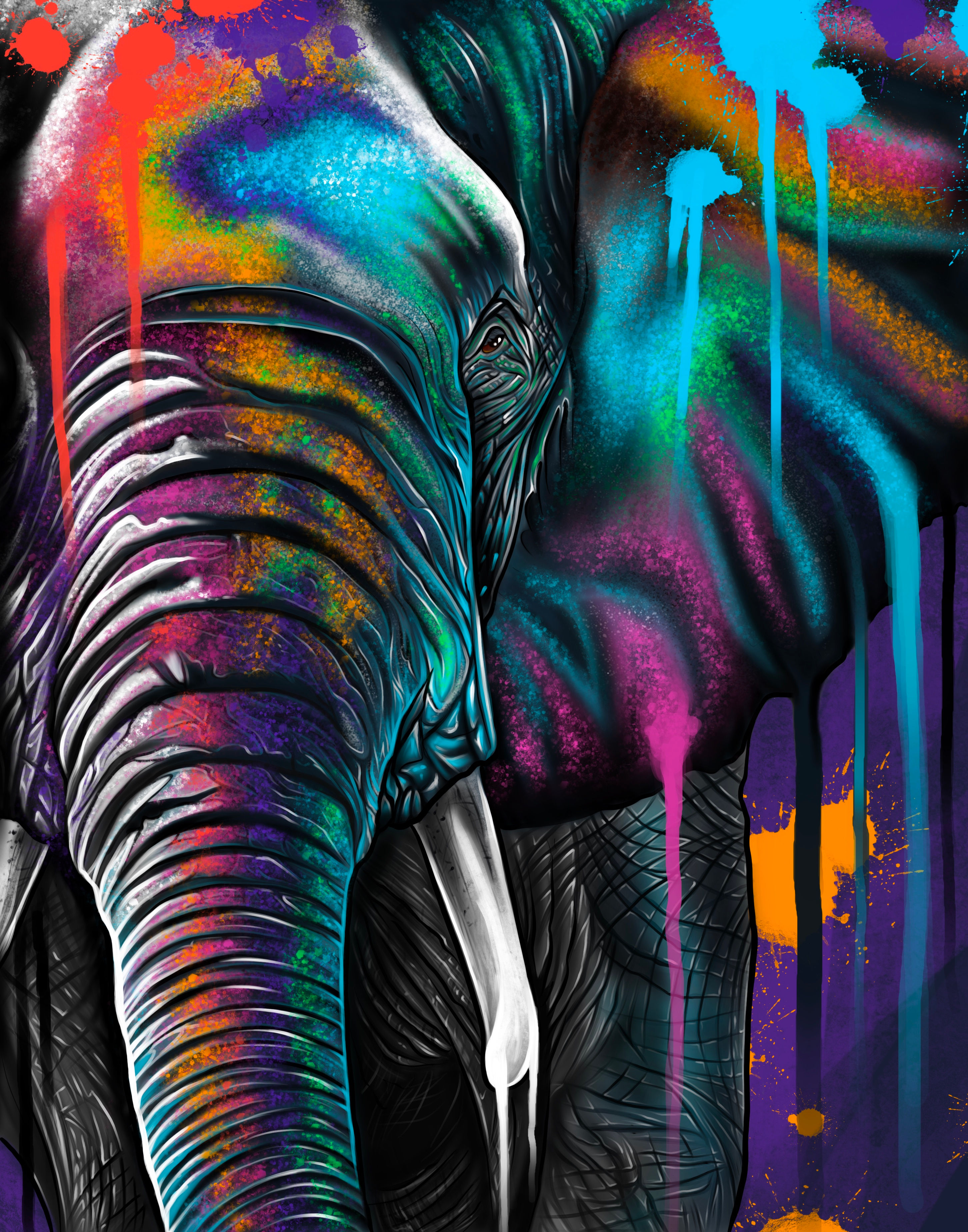 Elephant splash