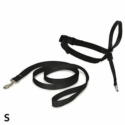 Licou et laisse EasyWalk de marche PetSafe