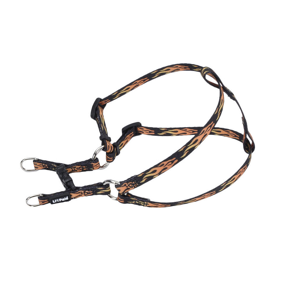 Miniature : Harnais XS réglable Li'l Pals Coastal (motifs différents)