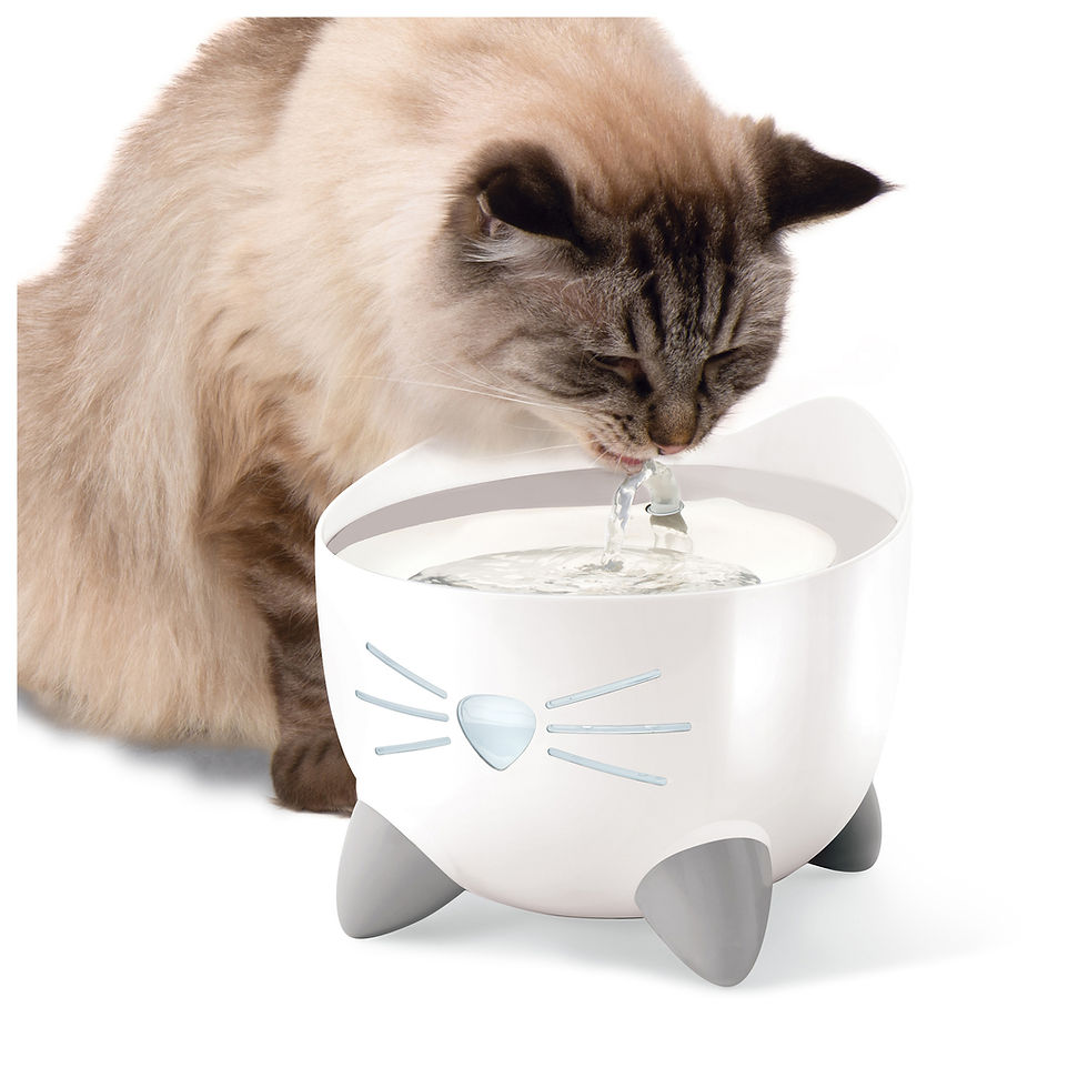 Miniature : Abreuvoir CAT IT PIXI blanc avec dessus en acier inoxydable 2.5L