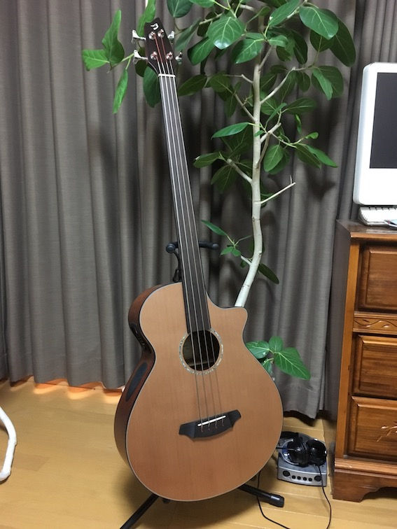Acoustic-Electric Bass