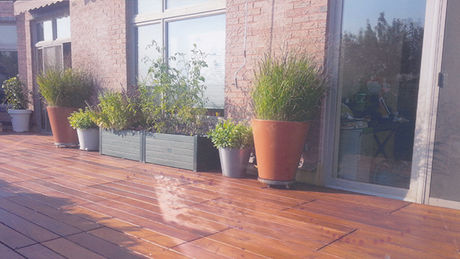 Penthouse Platform.jpg