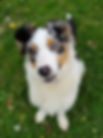 20201021_183855.jpg