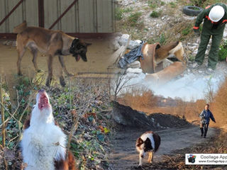 My Collage recherche.jpg