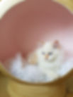 20201007_142412.jpg