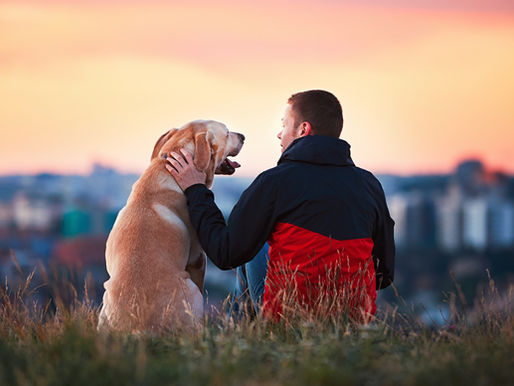 Are You Concerned About What Will Happen to Your Beloved Pets After You Pass Away? An Introduction to Pet Trusts.