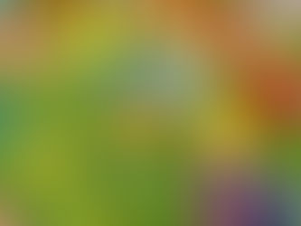 ★ふせいしの杜★