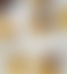 【屋島】イベントデー