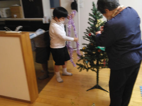 【ふせいしの杜】クリスマスツリー🎄