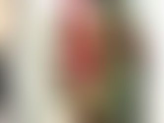 【屋島】クリスマス仕様🎵