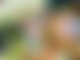 【屋島】新しいおもちゃ&壁面