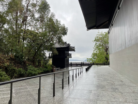 尋尋覓覓，冷冷清清，淒淒慘慘戚戚