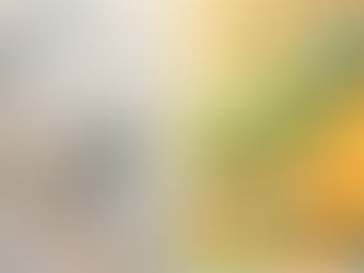 Let It Go, Let It Grow: a calmer alternative to New Year’s resolutions