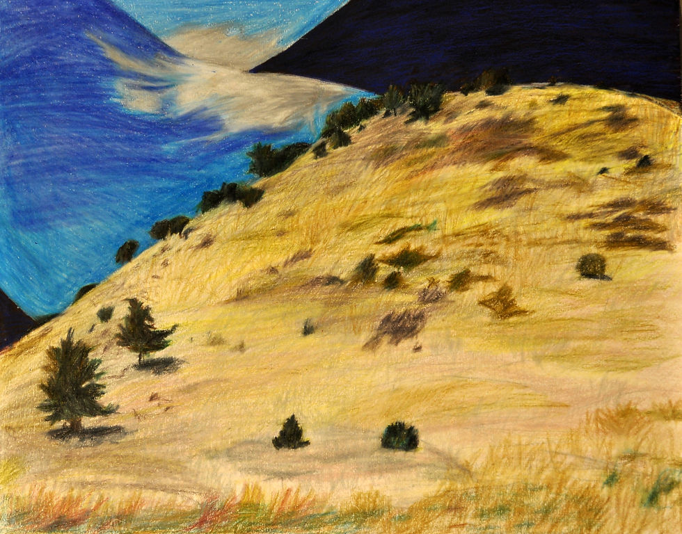 Back Hillside Legs