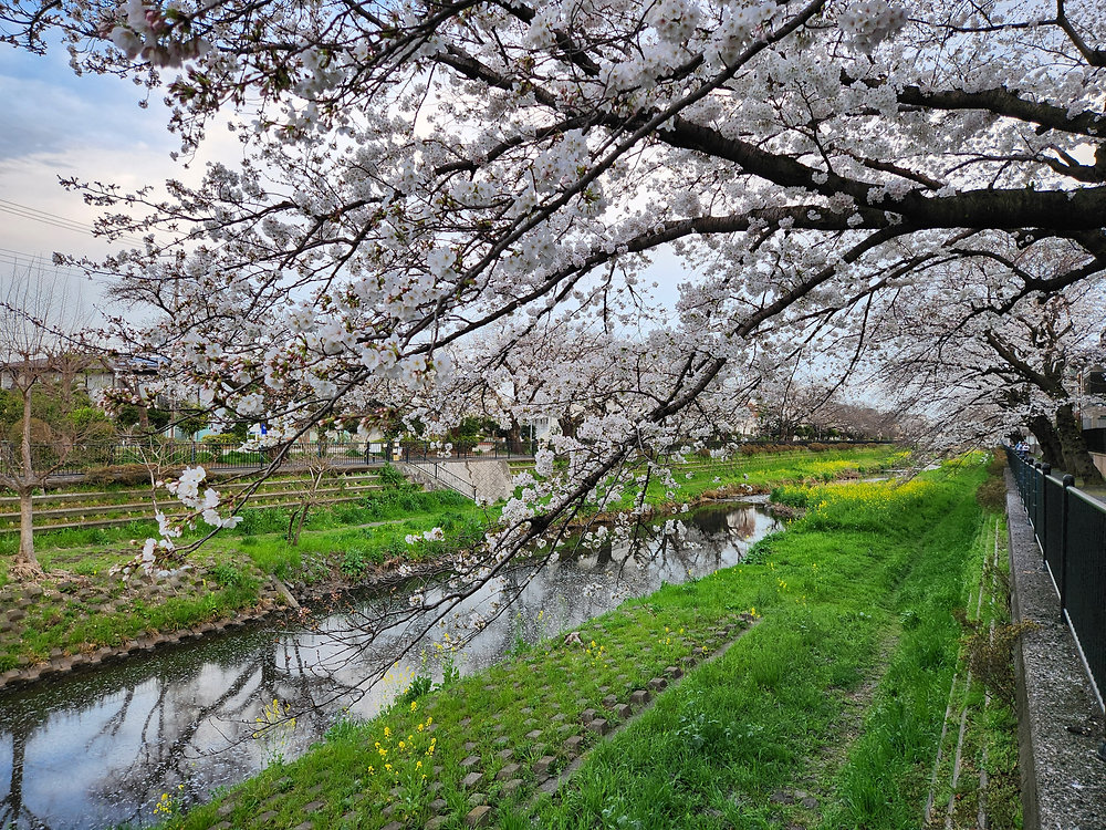 Spring Parnall Spring