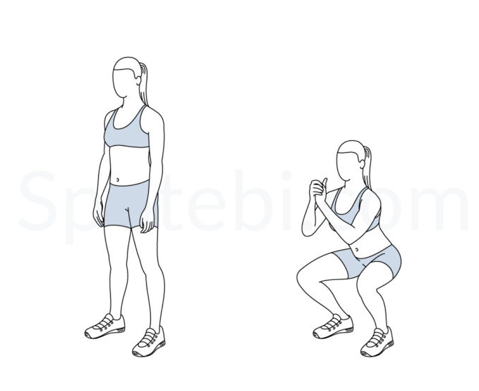 Squats