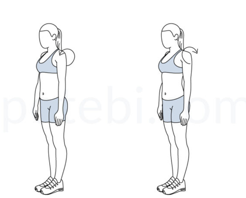 Shoulder roll