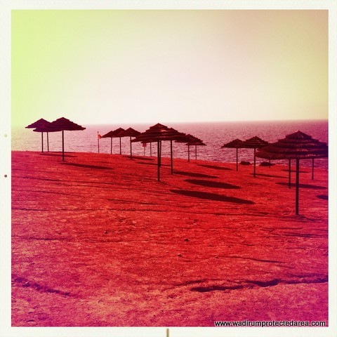 dead sea