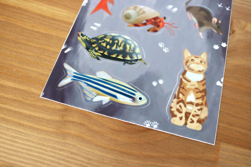Thumbnail: Pets Sticker Sheet | Exploring The Alphabet