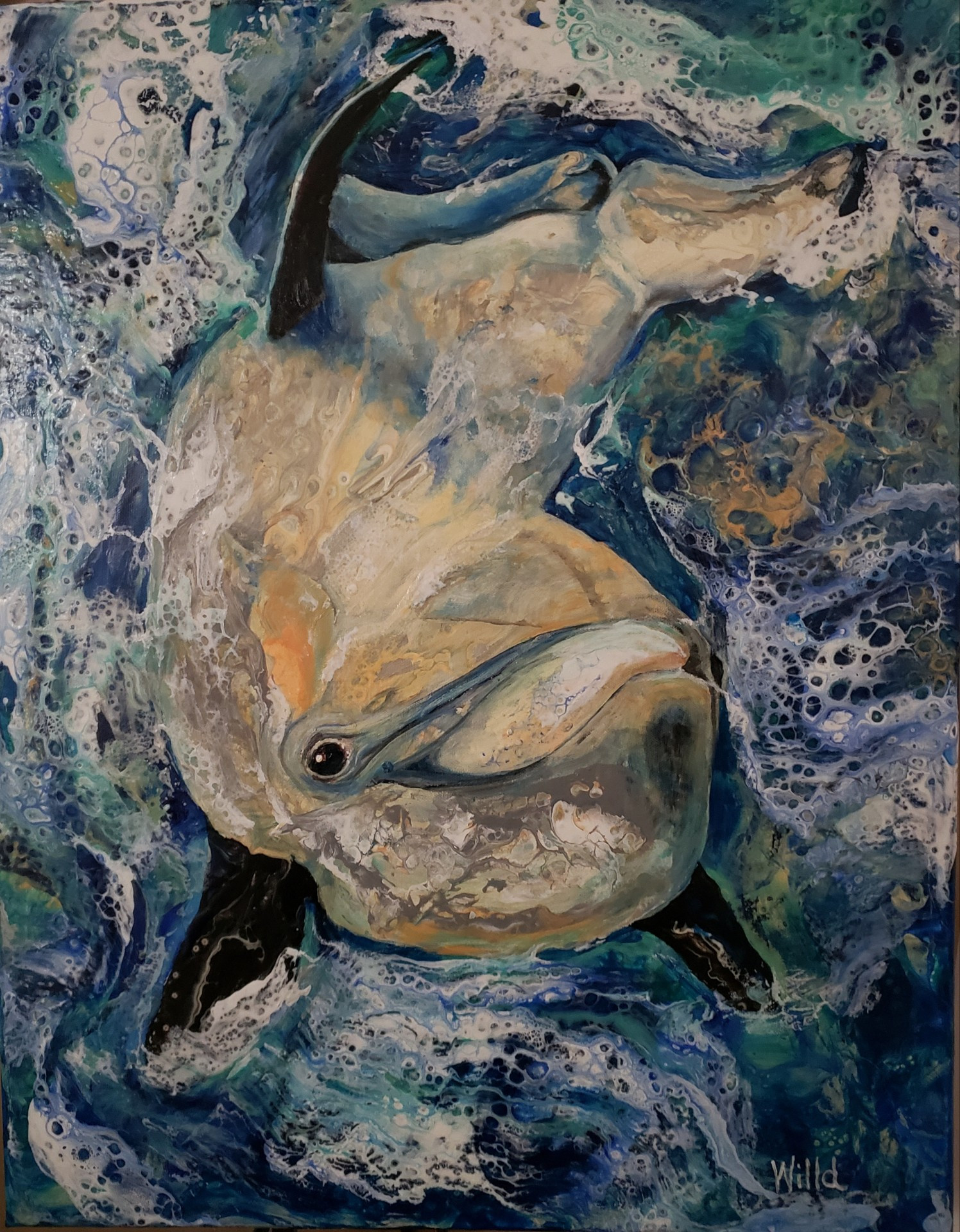 Dolphin