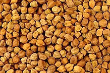 CHICK PEAS (DESI)