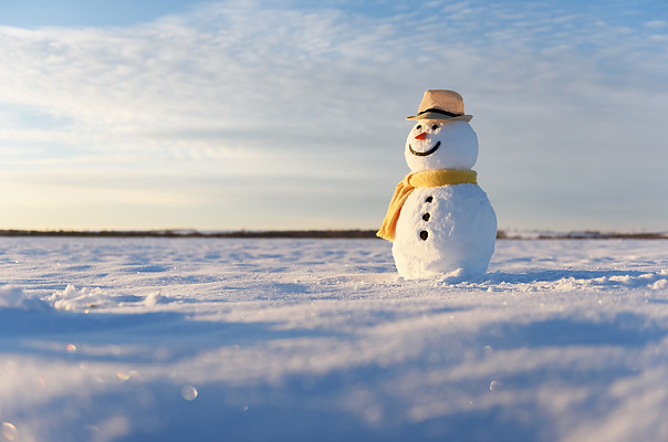 AdobeStock_308579037.jpeg