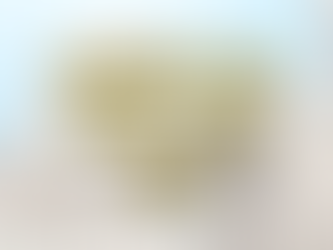 IMERSÃO WALL STREET 2024 - DIA 3 (SCHRODERS)