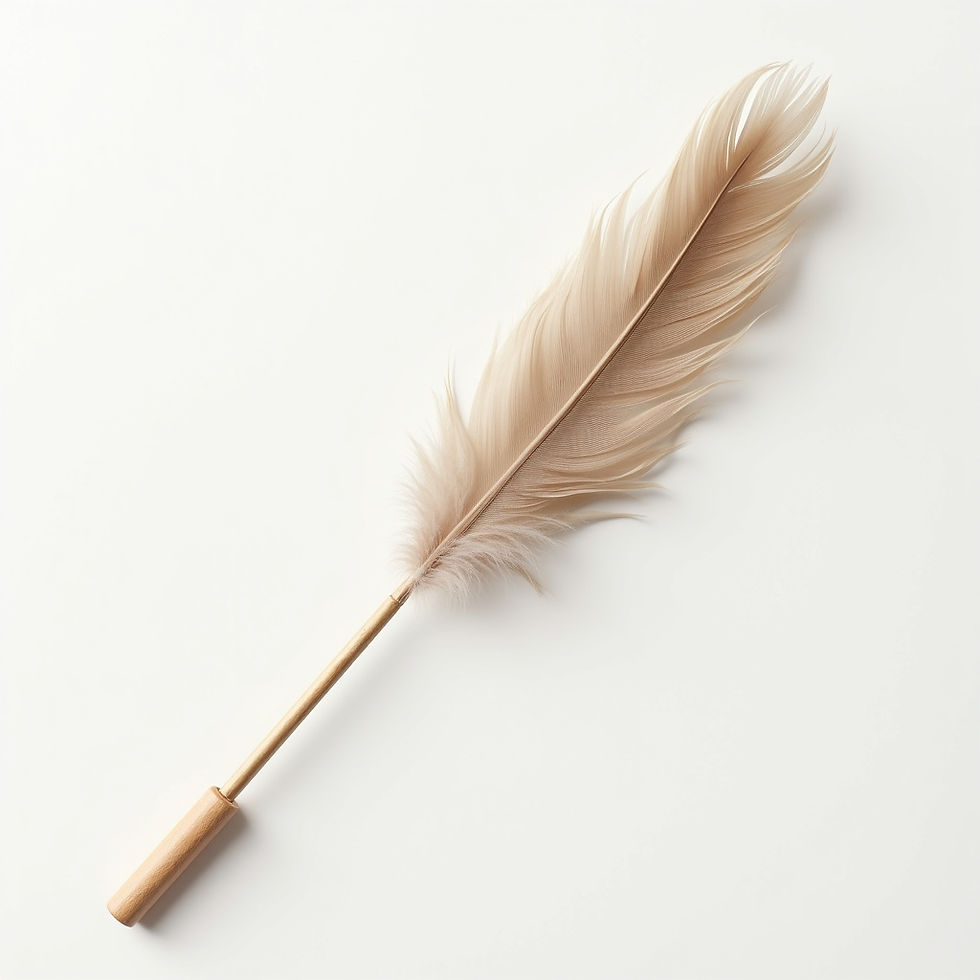 Feather Wand Toy