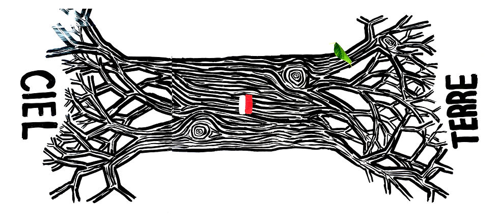 TERRE-CIEL-ARBRE.jpg