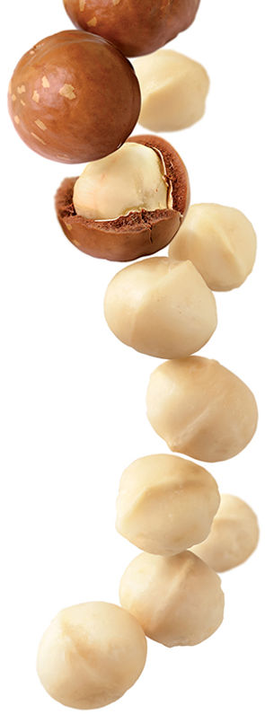 29.macadamia-nut-image.jpg