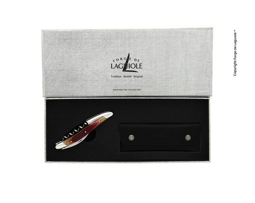 ラギオール　オーパスワンモデル　ケース・箱のみ ラギオール オーパスワンモデル ケース・箱のみ ラギオール オーパス