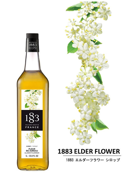 エルダーフラワー Elder flower | 1883 MAISON ROUTIN