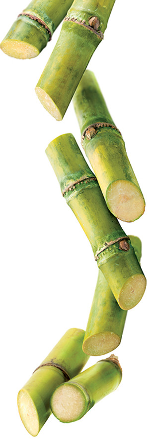 19.cane-sugar-image.jpg
