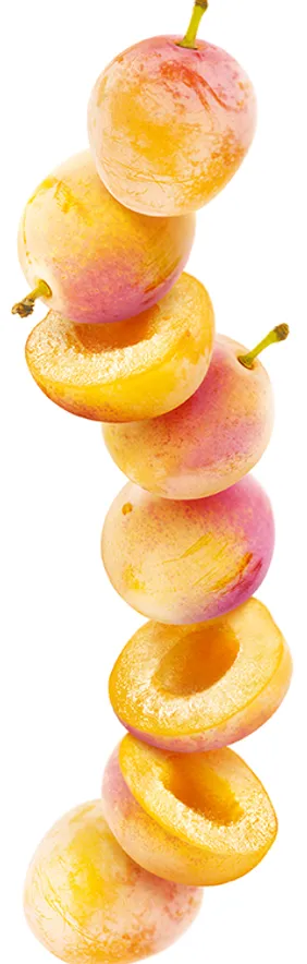 18 メゾンルータン シロップ ミラベル チェリープラム レシピ