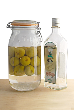 青梅＋ジン【Le Parfait流梅酒】