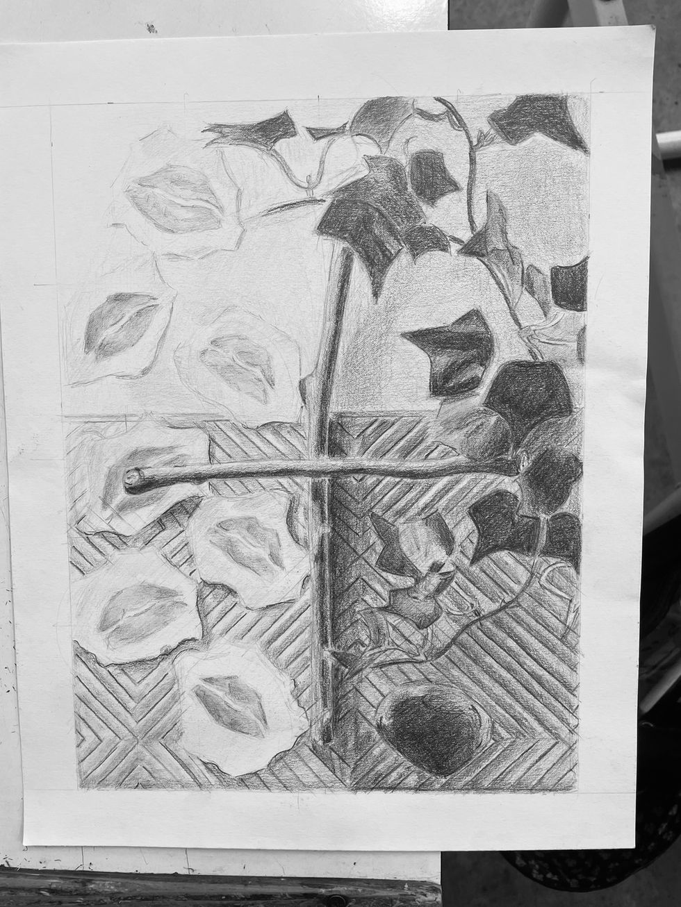 Graphite study
Sept 21, 2022