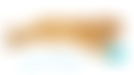 Common Myths About Dry Cat Food