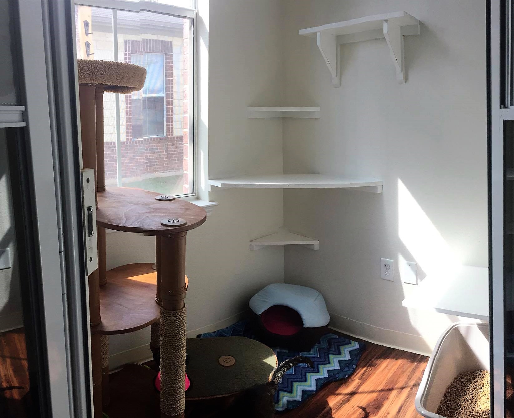 Extra Large Window Suite