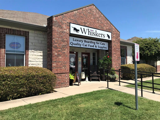 Whiskers Luxury Cat Boarding Opens!