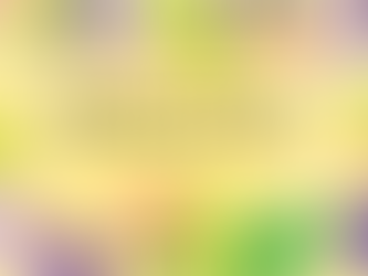 ZeronsoftN 15호 새소식